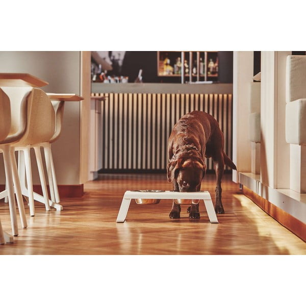 Kovová súprava misiek s podstavcom pre psa Desco White M – MiaCara-image-1