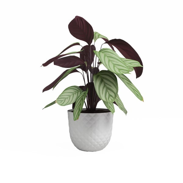 Kvetináč z recyklovaného plastu ø 30 cm Havana – Artevasi-image-2