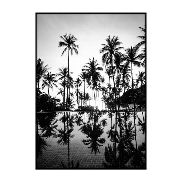 Plagát Imagioo Pool And Palms, 40 × 30 cm