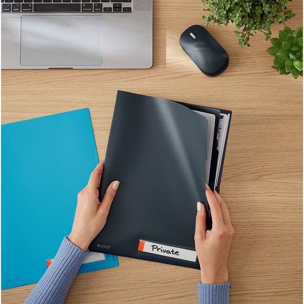 Sivé triediace kancelárske dosky Leitz Cosy, A4-image-1