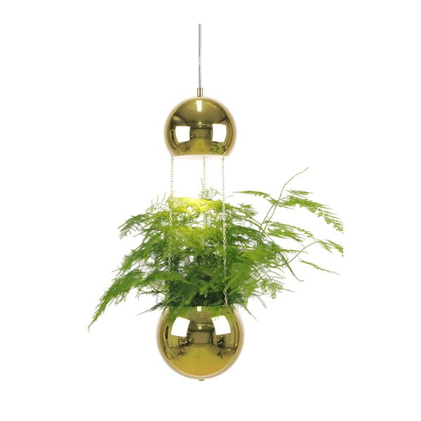 Závesné svietidlo vo farbe mosadze Globen Lighting Mini Planter