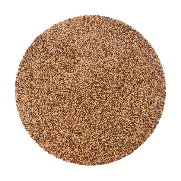 Okrúhly koberec v bronzovej farbe ø 160 cm Shag – Hanse Home