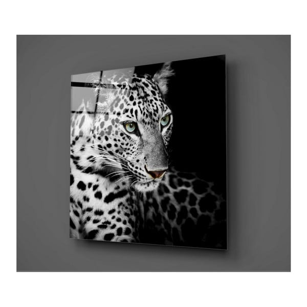 Sklenený obraz Insigne Wild Animal, 30 × 30 cm