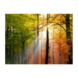 Veľkoformátová tapeta Artgeist Beautiful Autumn, 400 x 309 cm