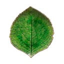 Zelený kameninový tanier Costa Nova Riviera, 15 x 17 cm