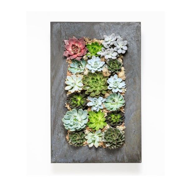 Nástenný kvetináč so sukulentmi Wall, 72x45 cm