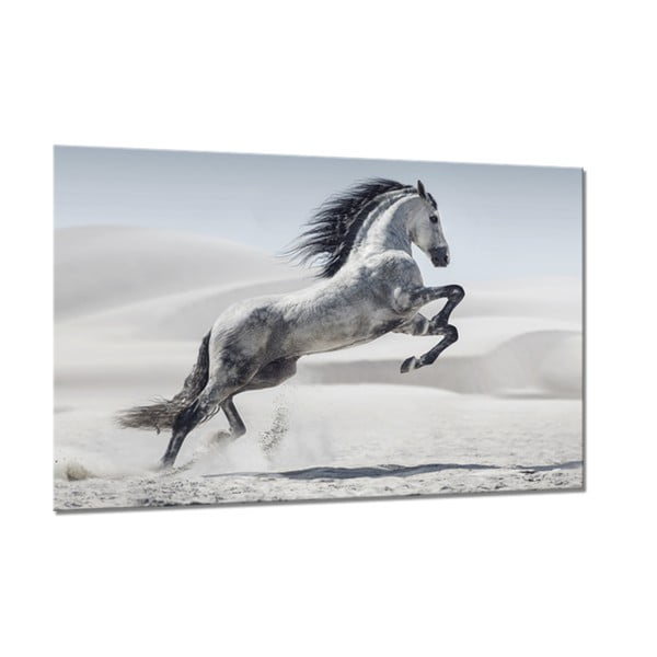 Obraz Styler Glasspik Glasspik Animals Horse, 80 × 120 cm