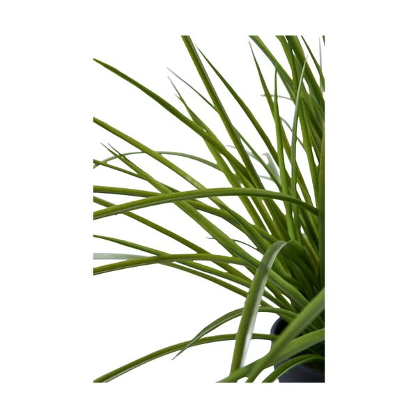 Umelá tráva (výška 45 cm) – House Nordic-image-3