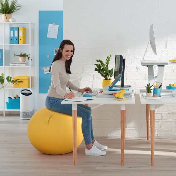 Ergonomická sedacia lopta ø 65 cm Ergo – Leitz-image-4