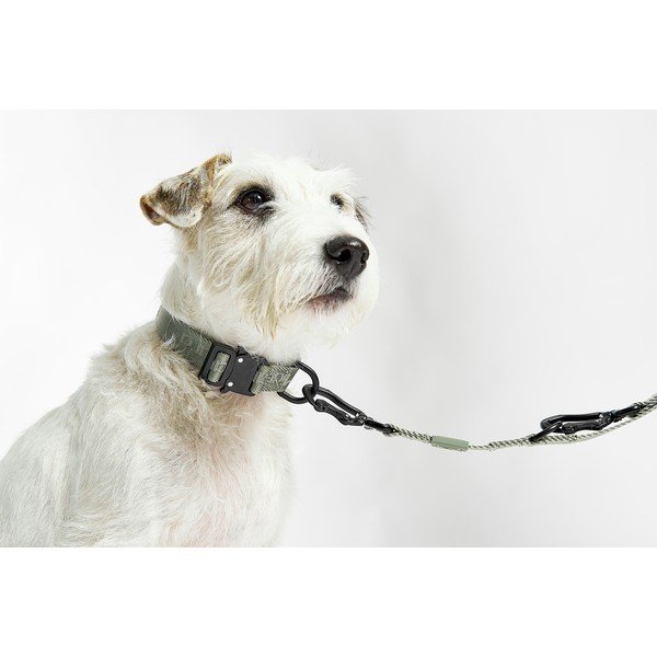 Tmavosivý obojok veľkosť S/M dĺžka 32 cm Modena Asphalt S/SM – MiaCara-image-1