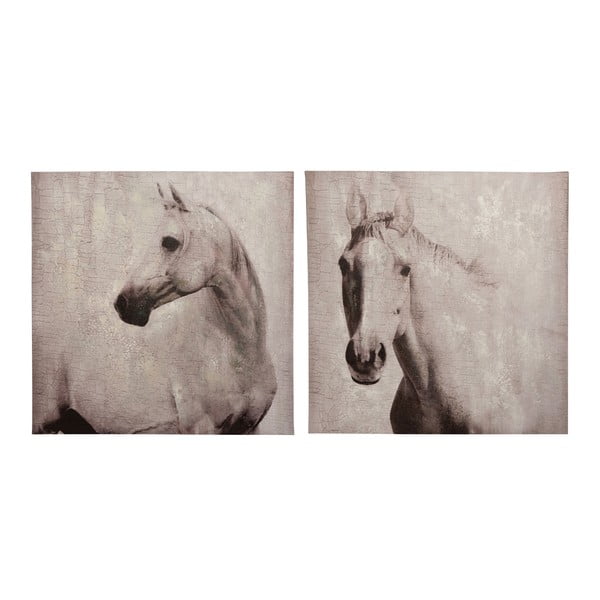 Sada 2 obrazov Horse, 80x80 cm