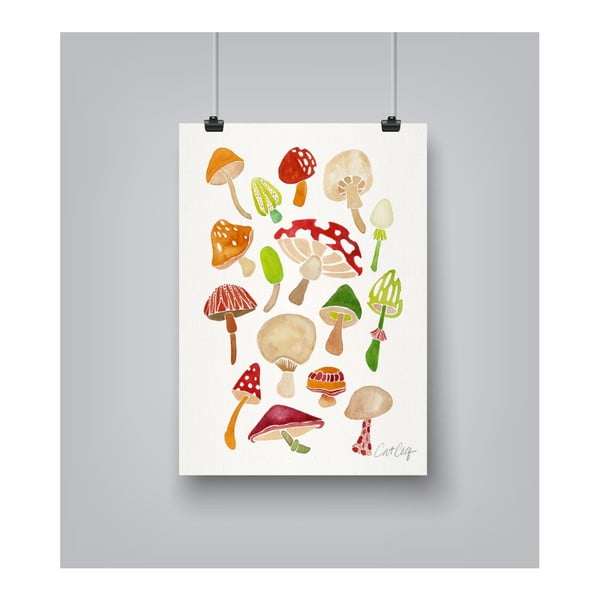 Plagát Americanflat Mushrooms, 30 x 42 cm