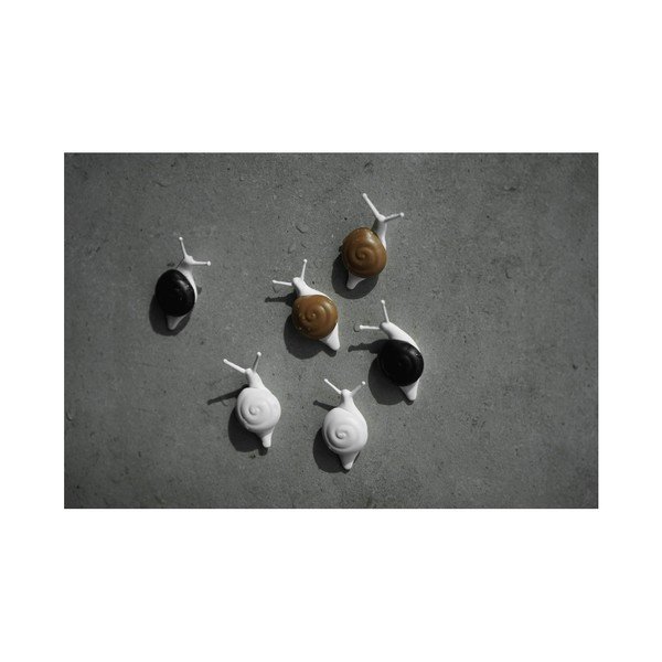 Sada 6 magnetov Qualy&CO Snail-image-3