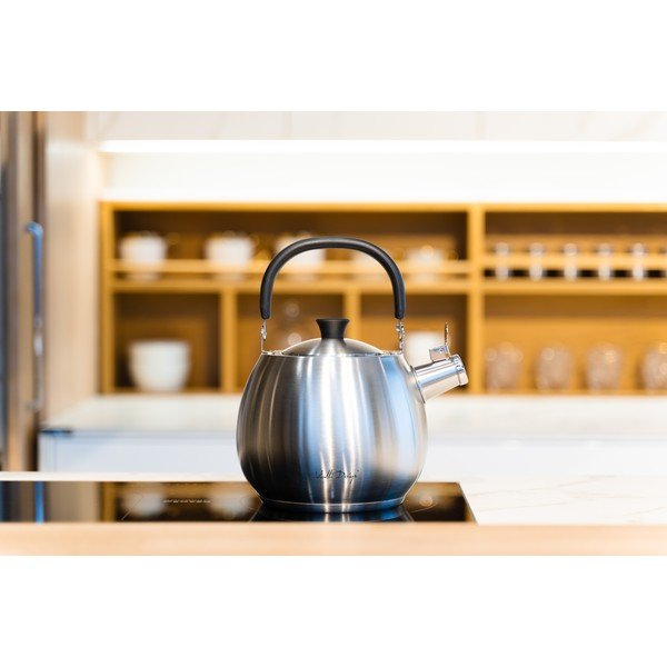 Strieborná antikoro kanvica s piestom Vialli Design Bolla, 2,5 l-image-1