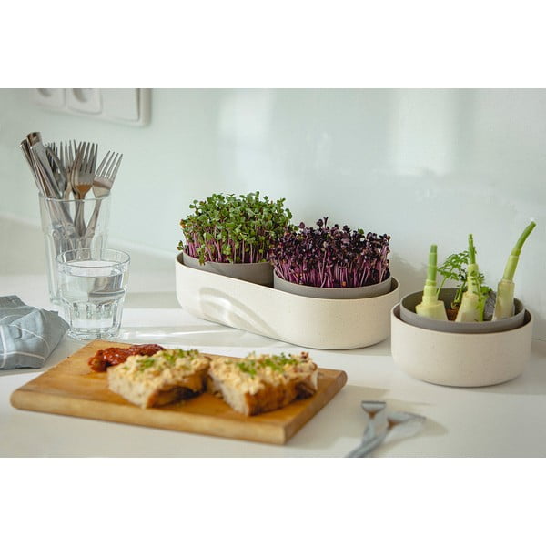 Klíčiaca miska, ø 16 cm Regrow - Plastia-image-4