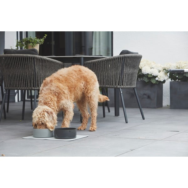 Porcelánová miska pre psa ø 16 cm Scodella Graphite S/M – MiaCara-image-1