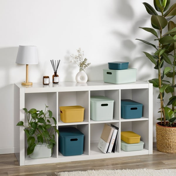 Sivý plastový úložný box s vekom 24x18x8 cm – Homéa-image-1