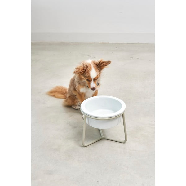 Porcelánová miska s podstavcom pre psa ø 20 cm Pranzo Greige M – MiaCara-image-1