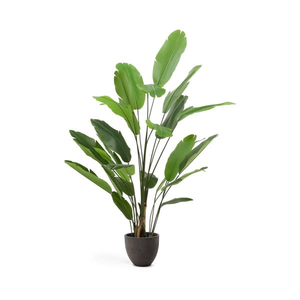 Umelý banánovník (výška 210 cm) – Kave Home
