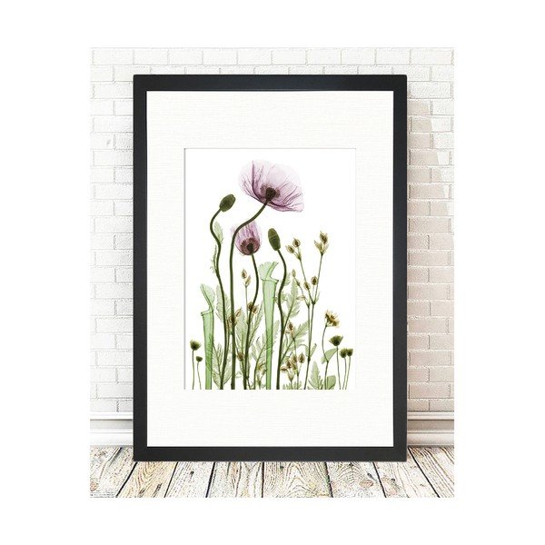 Obraz Tablo Center Wild Plants, 24 × 29 cm-image-1