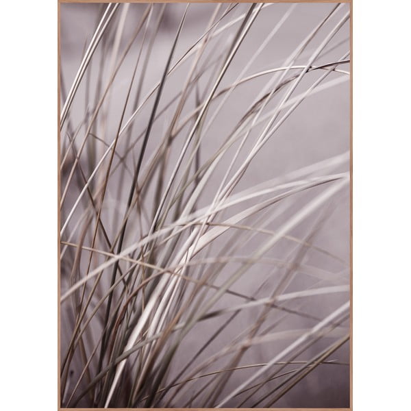 Obraz 50x70 cm Mellow Grasses 1 – Malerifabrikken