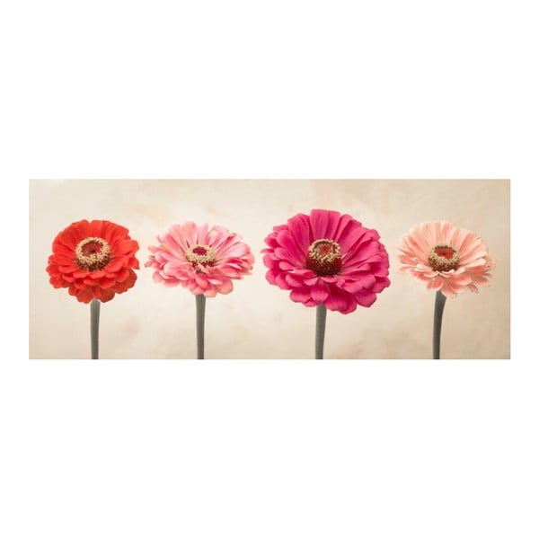 Sklenený obraz DecoMalta Flowers, 80 x 30 cm
