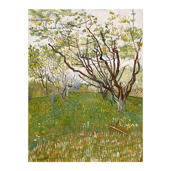 Obraz Vincenta van Gogha - Flowering Orchards, 70x55 cm