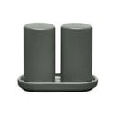 Soľnička a korenička so stojanom Pilar – Blomus