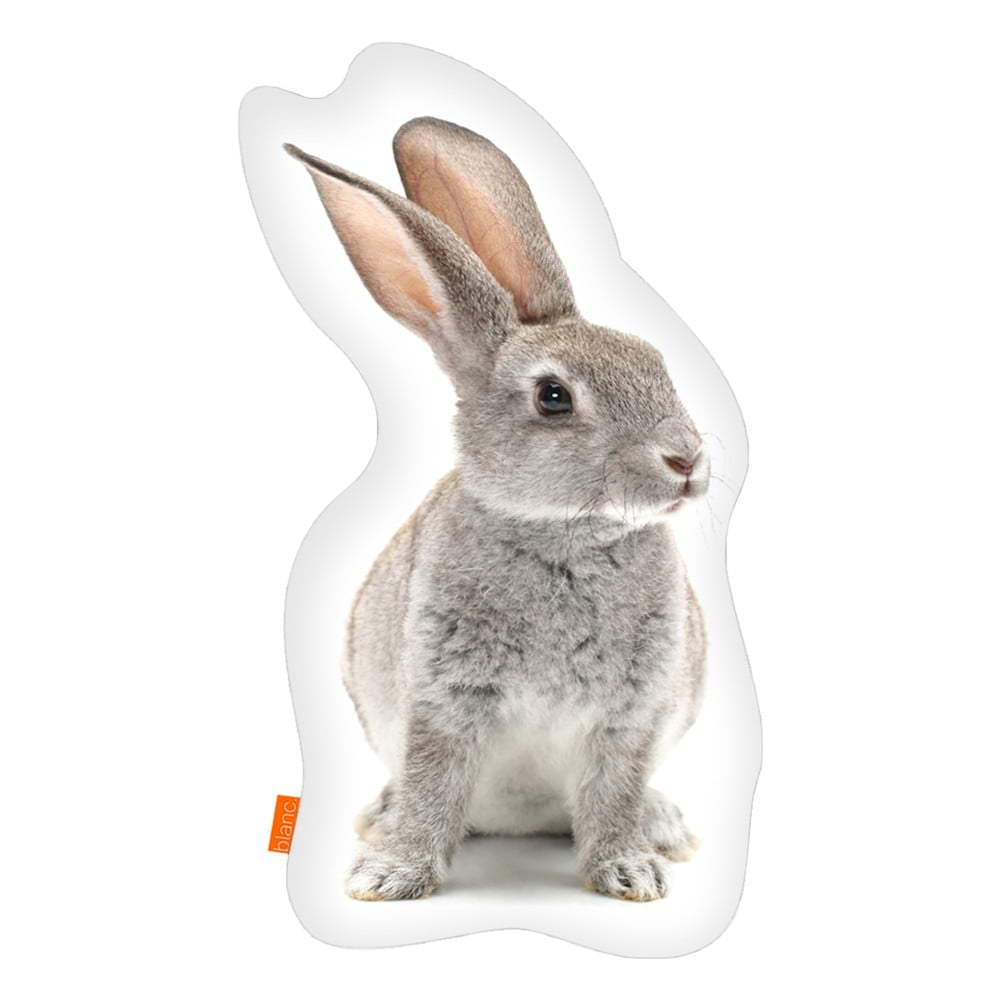 Vankúš Rabbit, 40 x 30 cm