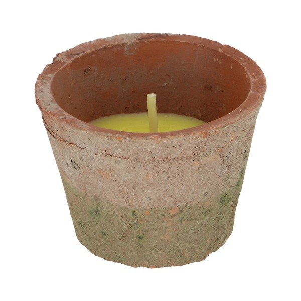 Vonná  sviečka doba horenia 10 h Citronelle – Esschert Design-image-3