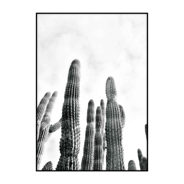 Plagát Imagioo Cactus No.2 , 40 × 30 cm