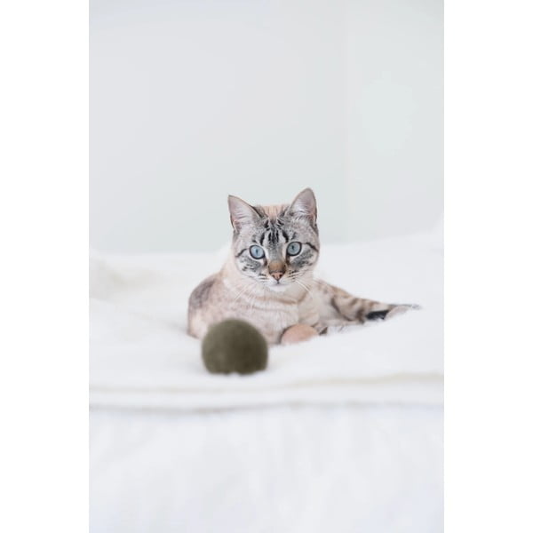 Hračky pre mačku v súprave 3 ks Globo Nougat – MiaCara-image-3