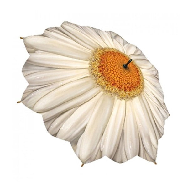 Dáždnik Flower Collection, daisy