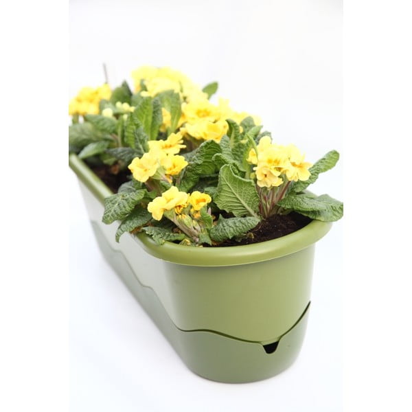 Zelená samozavlažovacia truhlica Plastia Mareta, dĺžka 60 cm-image-2