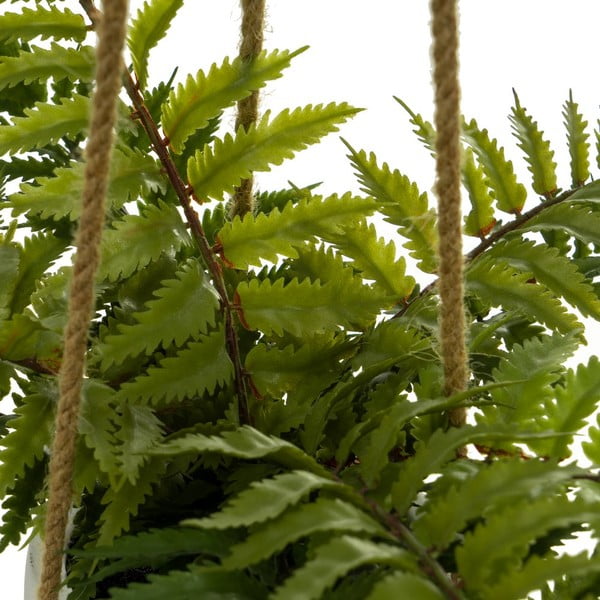 Umelá rastlina (výška 24 cm) – Casa Selección-image-1