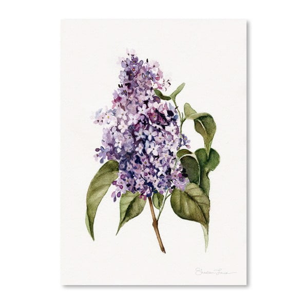 Plagát Lilac Branch by Shealeen Louise, 30 x 42 cm