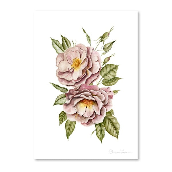 Plagát Matangi Roses by Shealeen Louise, 30 x 42 cm