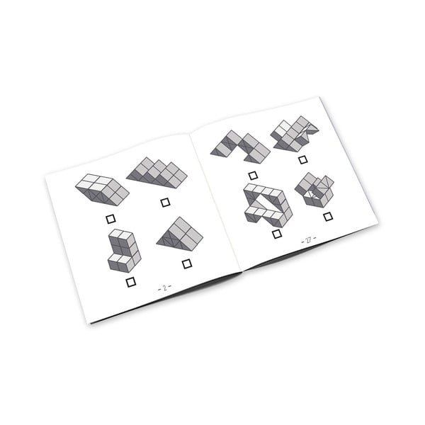 Hlavolam Dynacube – RecentToys-image-2