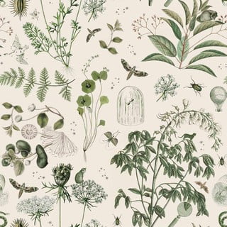 Tapeta 100x280 cm Green Botanical Stories - Dekornik