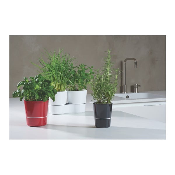 Sivý kvetináč na bylinky Mepal Hydro Herbs-image-3