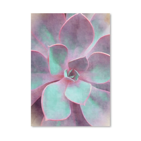 Plagát Americanflat Sweet Succulent, 30 × 42 cm