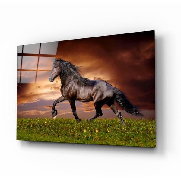Sklenený obraz Insigne Nobility of the Horse, 110 x 70 cm