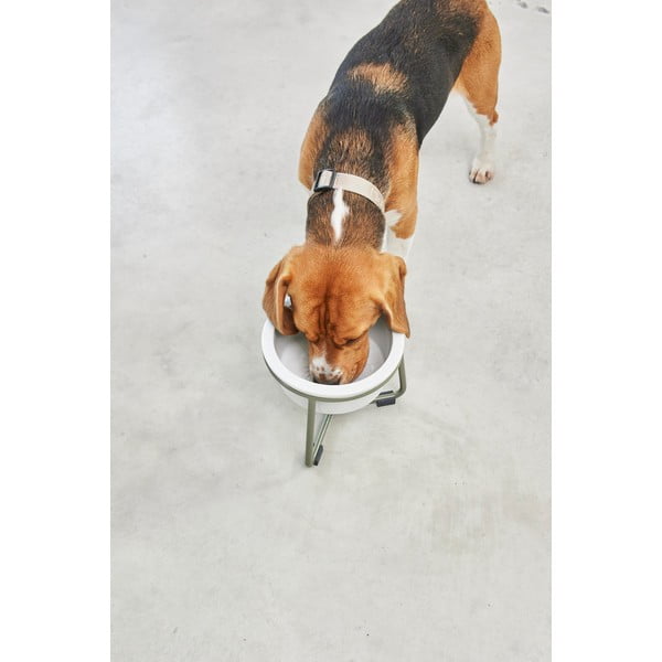 Porcelánová miska s podstavcom pre psa ø 20 cm Pranzo Grolive M – MiaCara-image-4