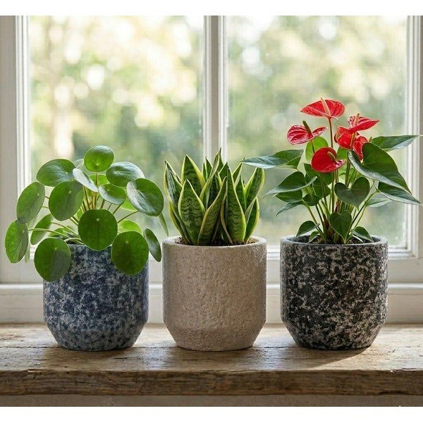 Keramický ručne vyrobený obal na kvetináč ø 14 cm Almada – Ego Dekor-image-1