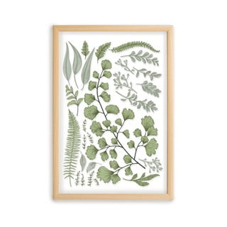 Obraz s rámom z borovicového dreva Surdic Leafes Collection, 50 x 70 cm