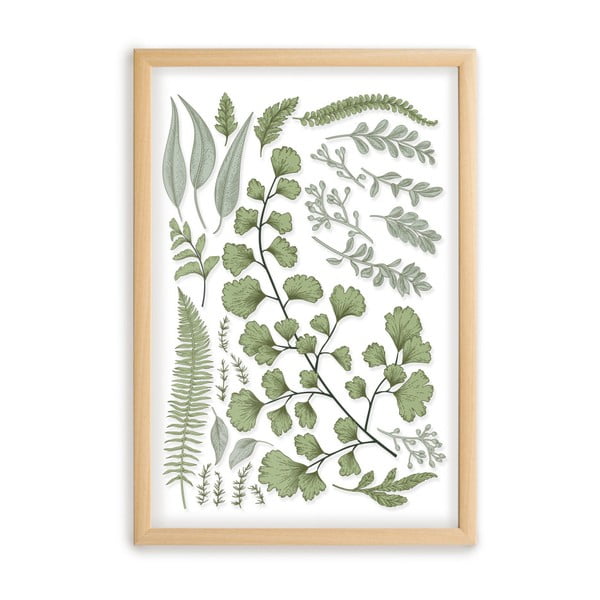 Obraz s rámom z borovicového dreva Surdic Leafes Collection, 50 x 70 cm