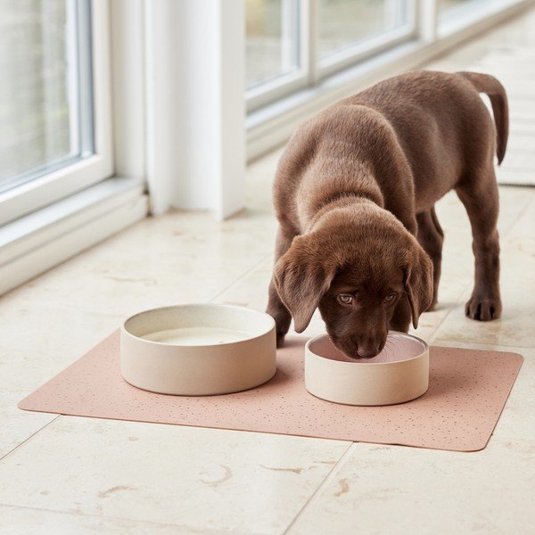 Keramická miska pre psa ø 13 cm Sia – OYOY Living Design-image-2