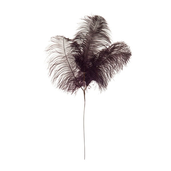 Dekoratívne pštrosie perie Aubergine, výška 61 cm