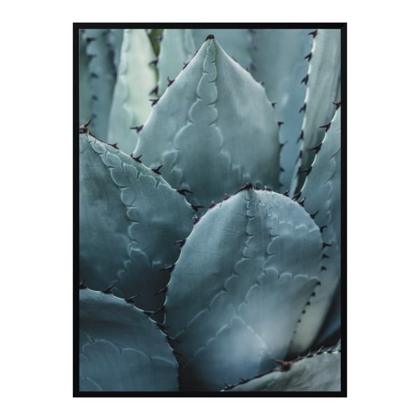 Plagát Nord & Co Cactus, 21 x 29 cm