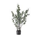 Umelý eukalyptus (výška 117 cm) – Bloomingville